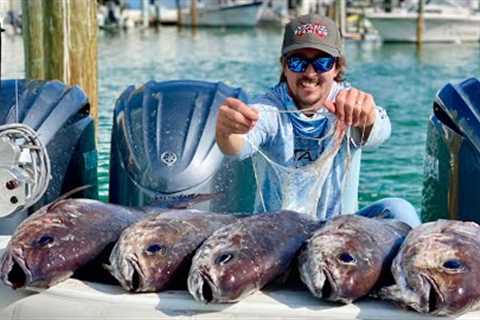 We ATE the *SLIMIEST* Fish in the Ocean! Barrelfish Catch Clean and Cook