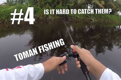 HARD TOMAN FISHING 2023