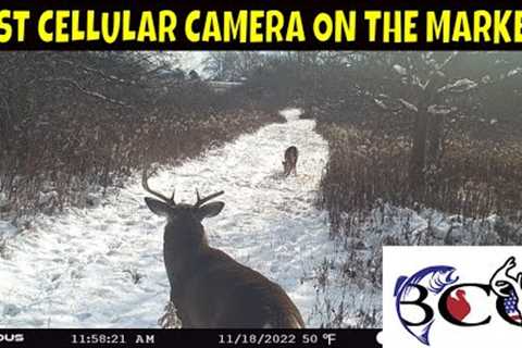 exodus render cellular trail camera after season review | bco review |