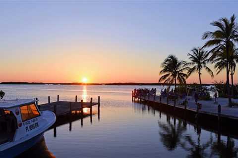 Four Fun Things to Do In Sunrise, Florida