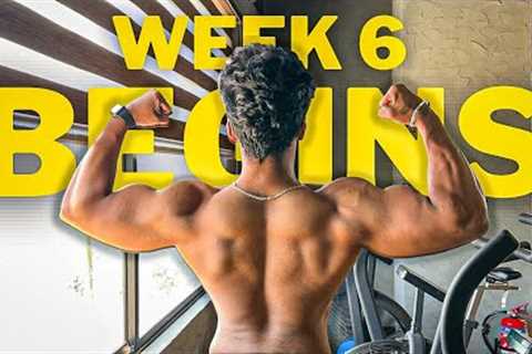 WEEK 06 | CURRENT PHYSIQUE | PREP EP 17