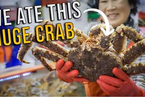 We ate the LARGEST CRAB we could find in Busan's JAGALCHI MARKET // Busan Street Food