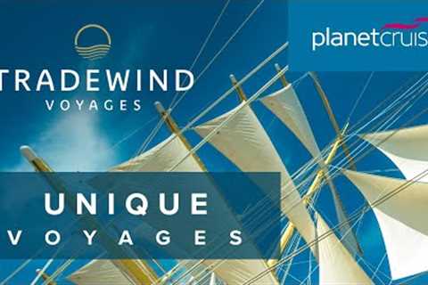 Tall ship sailing to Iceland | Tradewind Voyages |  Planet Cruise