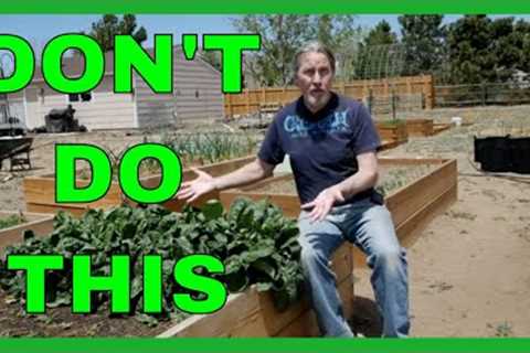 Lessons for Beginner Gardeners (9 Tips)