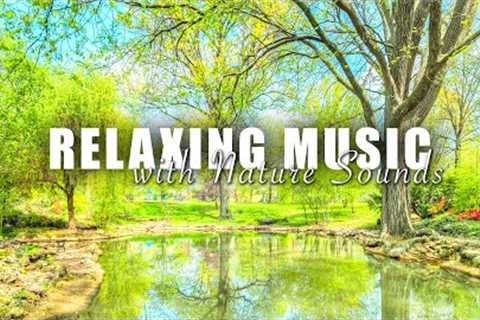 Relaxing Music With Nature Sounds | Reduce Stress and Anxiety - Relax ur Soul