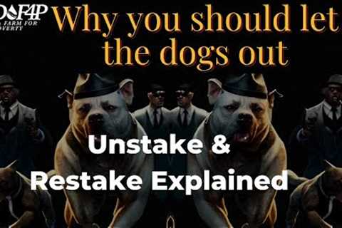 Drip Network Dog pound how to maximize your tax reduction on your stakes.mp4