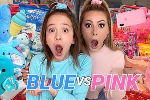 ULTIMATE PINK 💗 VS BLUE 💙 SHOPPING CHALLENGE!