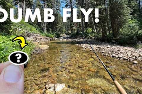 Can This Stupidly Simple Fly Catch Fish?? (Tenkara Fly Fishing)