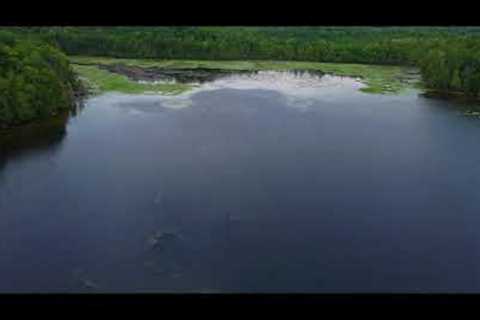 Dji Mini 2  / cinematic drone video