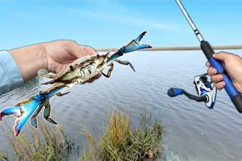 Eating Whatever I Catch! (Catch and Cook) Crabbing &amp; Fishing!