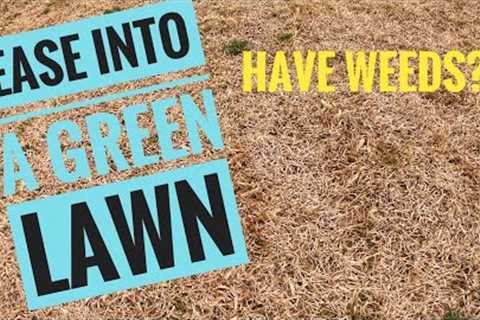 Spring Lawn Care - Gradually Bring St Augustine Out of Dormancy