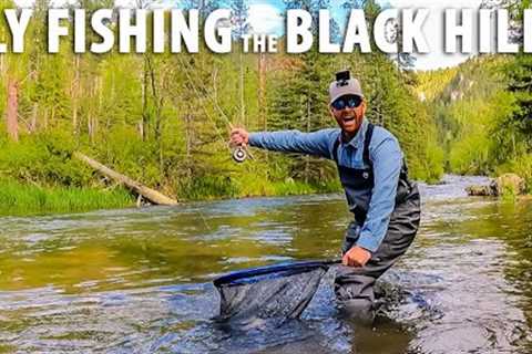 Epic Fly Fishing in the Black Hills of South Dakota
