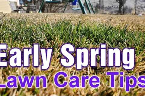 Early Spring Lawn Care Tips: What To Do First, Second, &amp; Third