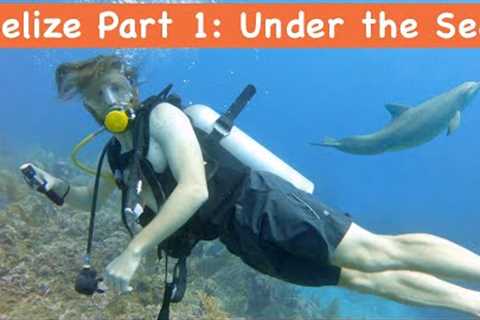 Belize Travel | Scuba Diving | Hol Chan | San Pedro