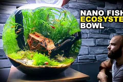 Nano Fish Ecosystem Bowl: AMAZING NO WATER CHANGE &amp; No Filter Aquarium (Aquascape Tutorial)