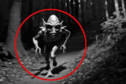 Most Disturbing Trail Cam Captures