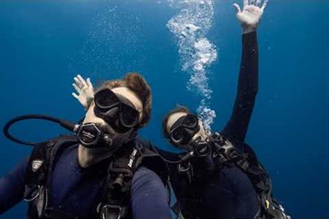 First SCUBA dive of the new year + a life update! // EP66