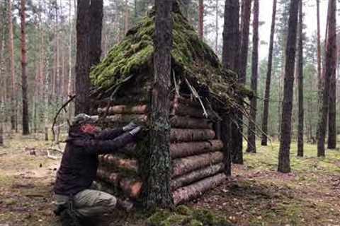 Building a 2-storey Log cabin / Tree house. Survival, bushcraft in the wilderness. Unexpected find