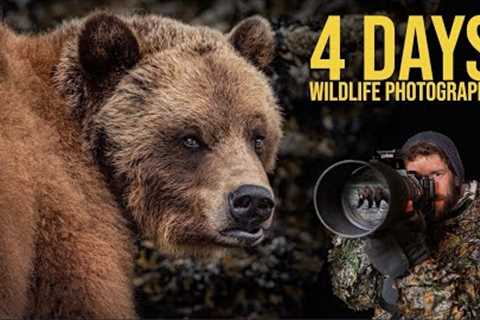 Wildlife Photography in The GREAT BEAR RAINFOREST | Best CAMERA SETTINGS | Grizzlies and Whales!