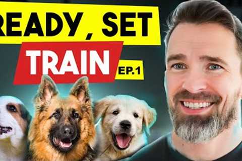 Unlock Your Dog's Potential: a New training show by Nate Schoemer