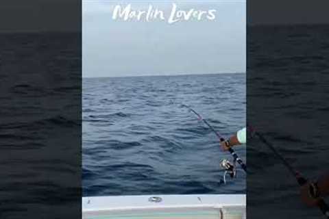 Best Stunning Sea Fishing, 🐟 Amazing Ice Fishing, Big Fish Fishing, Catching Marlin🐟 #short..