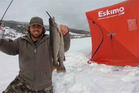 Chasing BIG Trout Through the Ice!! (Ice Fishing Catch &amp; Cook)