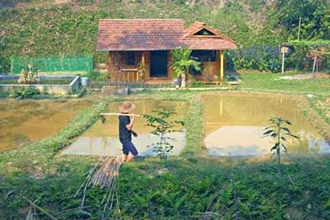 The process of 350 days of building a garden, everything changes after 1 year of hard work