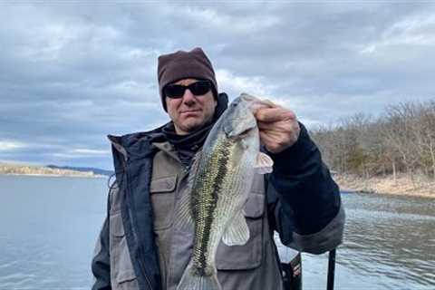 Table Rock Lake Video Fishing Report Jan 31, 2023