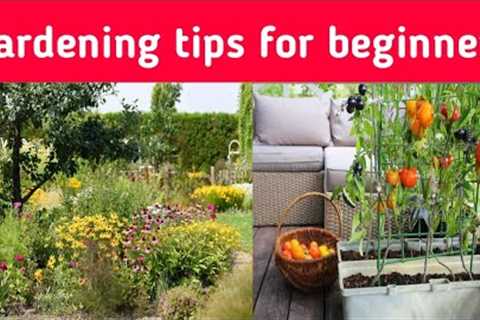 Gardening tips for beginners| gardening ideas for home #gardening #tips