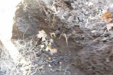 DIY Underground Dog House: Part 1