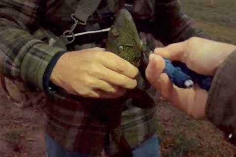 A Balboa Lake New Year 2023 - Fishing With  Air Season 4 Episode 1