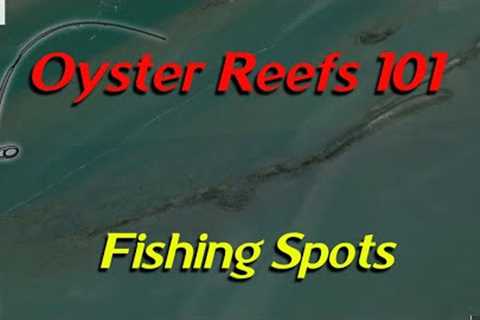 Oyster Reefs 101 How To Find Fishing Spots