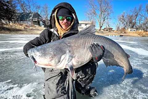 Ice Fishing For MONSTROUS BLUE CATFISH!!! (Possible Record)