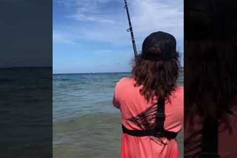 Guy Catches Monster Fish While Beach Fishing! #shorts