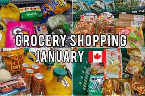 Grocery Shopping Trips in Canada 🛒Summary of January shopping