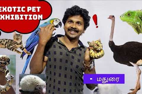 Exotic Pets Exhibition | Ball Python Pet | Iguana | Bengal Cat | Madurai | Macow | Birds Farm | Pets