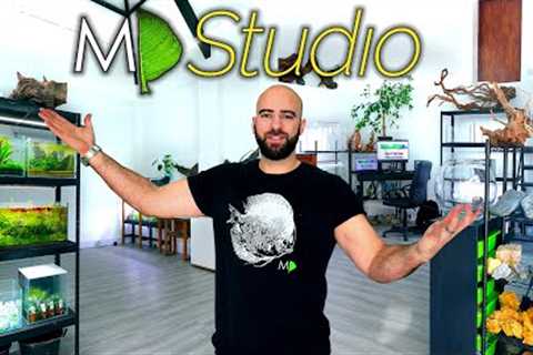 Welcome To The NEW MD Studio!! (massive progress!!)
