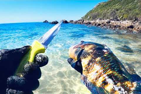 Alone Hunting Fish For Food - SOLO CAMPING Uninhabited Islands - Catch And Cook
