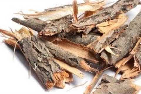 6 Best Natural Pain Killers for Arthritis Pain and Inflammation ! !!