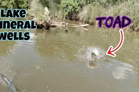 LAKE MINERAL WELLS STATE PARK | Kayak Bass Fishing