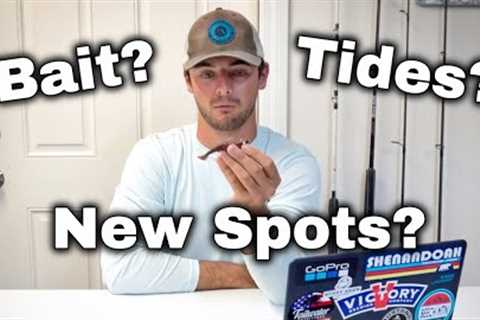 Beginner's Guide to Saltwater Fishing: Common Questions Q&amp;A