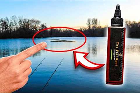 Winter Carp Fishing Vlog Down Local Park Lake!