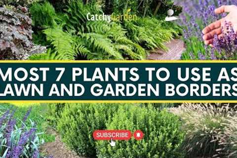 Most 7 Plants to Use as Lawn and Garden Borders 🌷🌺 // Gardening Tips