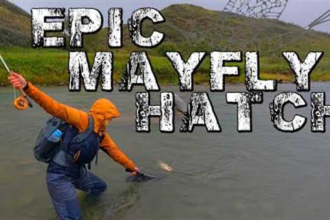 How We Do It EP 02: HOT SUMMER Weather Change &amp; EPIC Mayfly Hatch! Fly Fishing Alberta, Canada