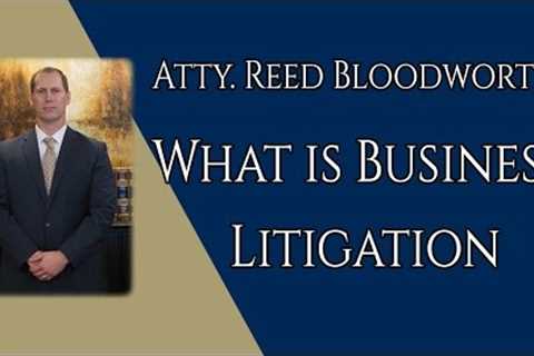 What is Business Litigation?