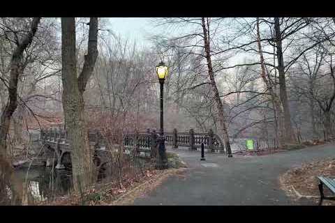 Live NYC Walking Commute: Going to the Upper West Side - Feb 8, 2023