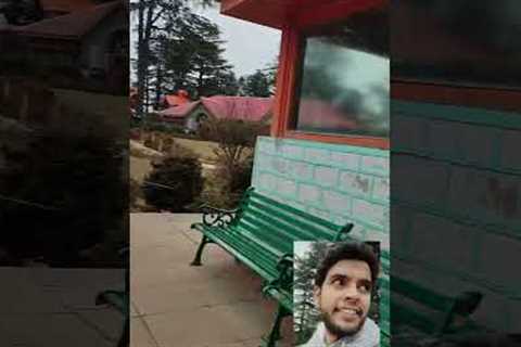 Delhi To Shimla Mini Vlog 13 | Jakhu Temple | Travel vlog #shimla #jakhutemple #bajrangbali