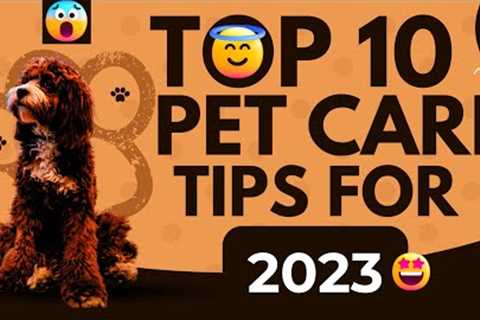 Top 10 Pet Care Tips Must Know For 2023 | Tim's Adventures