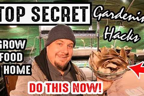 DIY Gardening Tips, Tricks &amp; Hacks To Implement NOW!