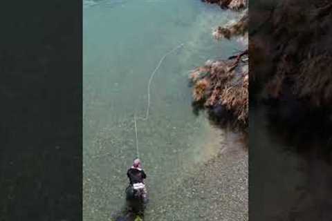 Super easy fly fishing for trout #shorts